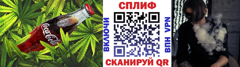 Cannafood марихуана  Новоржев 