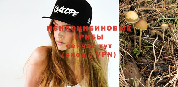 apvp Волоколамск